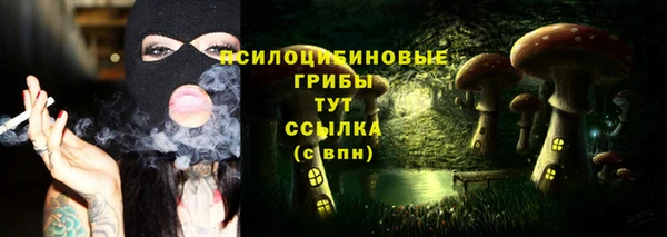 каннабис Алзамай