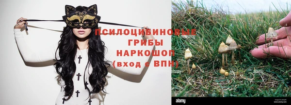 каннабис Алзамай