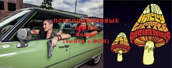PSILOCYBIN Алексеевка