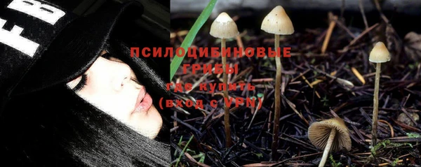 каннабис Алзамай