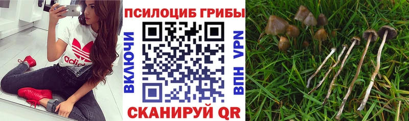 Псилоцибиновые грибы MAGIC MUSHROOMS  Ардон 